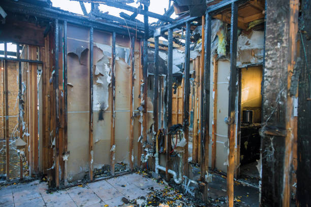 Professional Fire Damage Removal technician working in Romancoke, MD